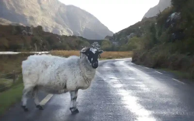 The Gap of Dunloe, Killarney, county Kerry